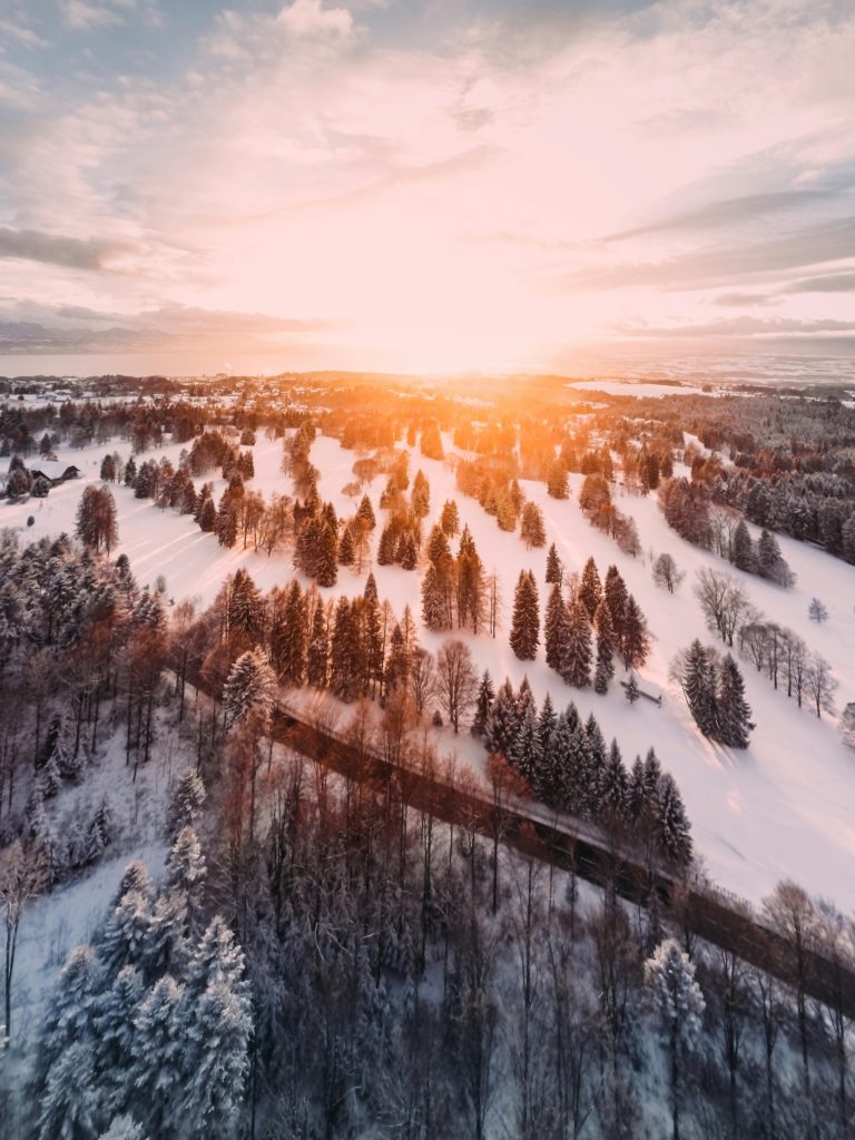 A breathtaking aerial view of a snowy forest during sunset with golden light.